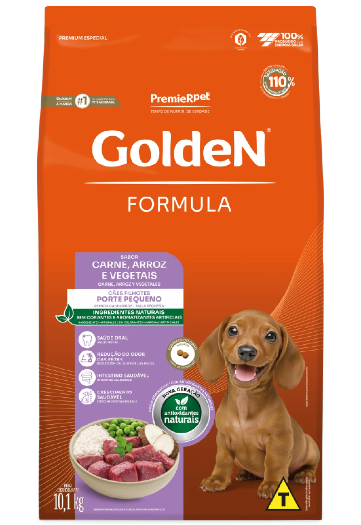 GOLDEN FILHOTE MINI BITS 10,1KG CARNE