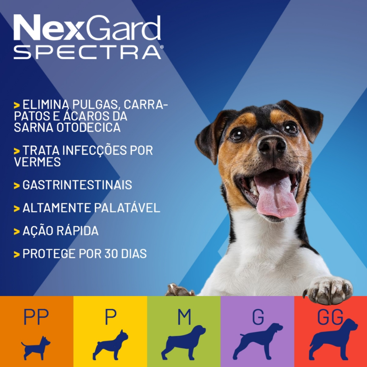 NexGard Spectra para Cães de 7,6 a 15kg – 1 Comprimido