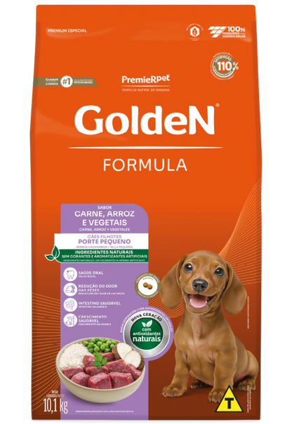 GOLDEN FILHOTE MINI BITS 10,1KG CARNE