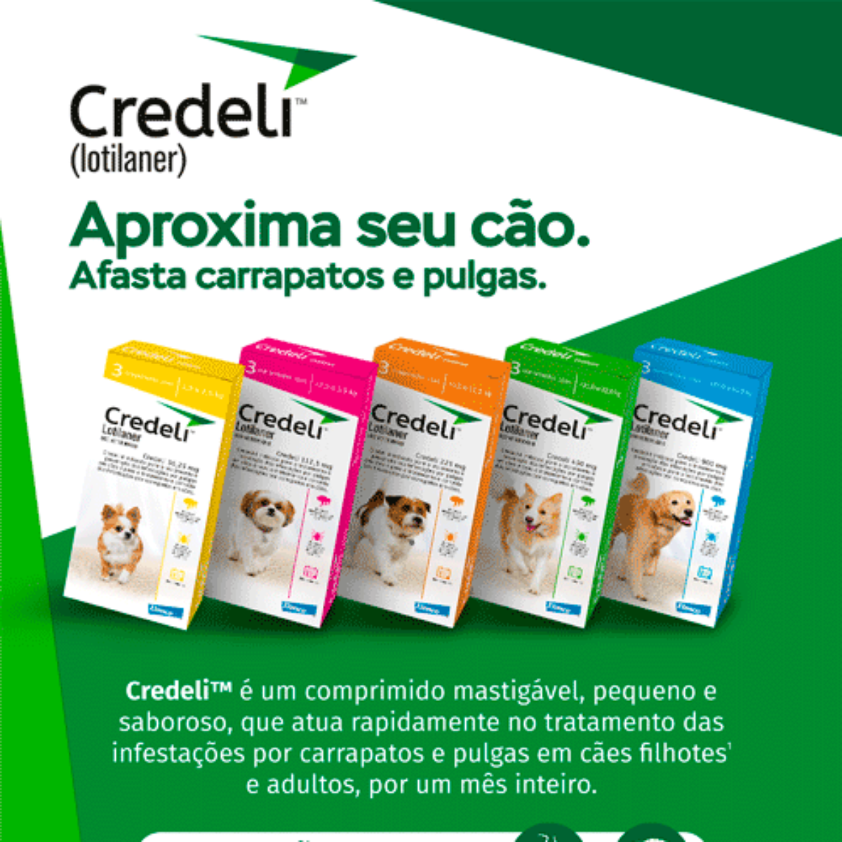 Credeli 56mg – 1,3kg a 2,5kg (1 comprimido)