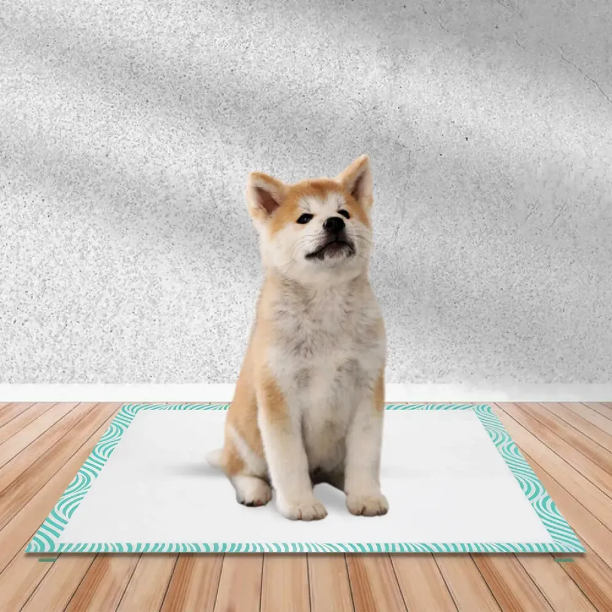 PETMAIS Tapete Higiênico TreinePet 60x55cm - 30 unidades