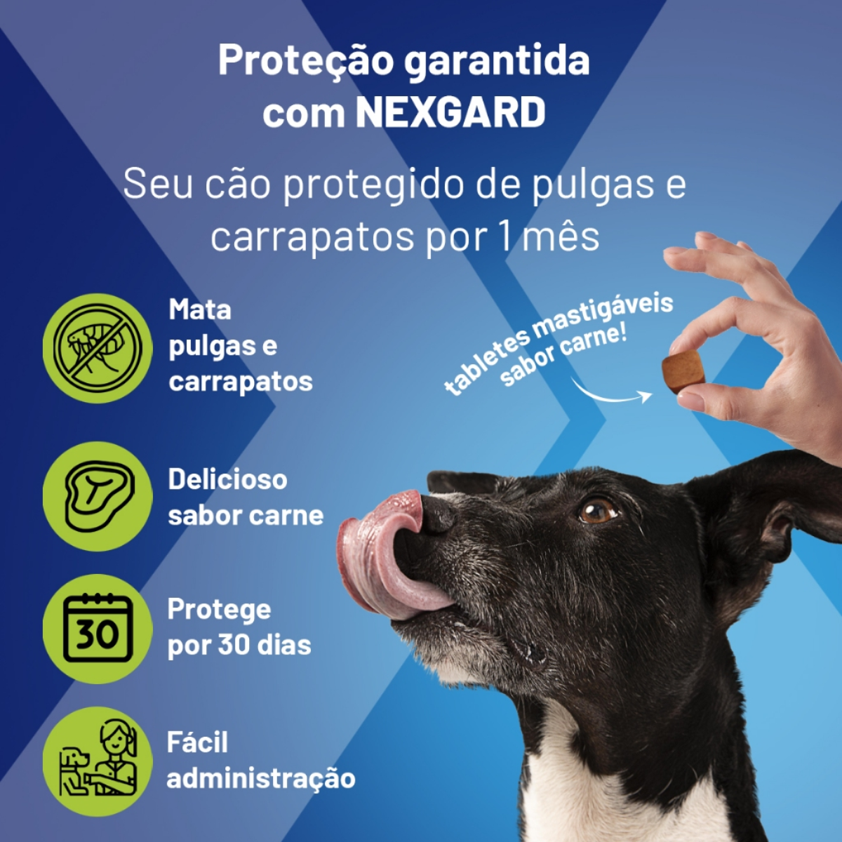 NexGard Spectra para Cães de 2,0 a 3,5kg - 1 comprimido
