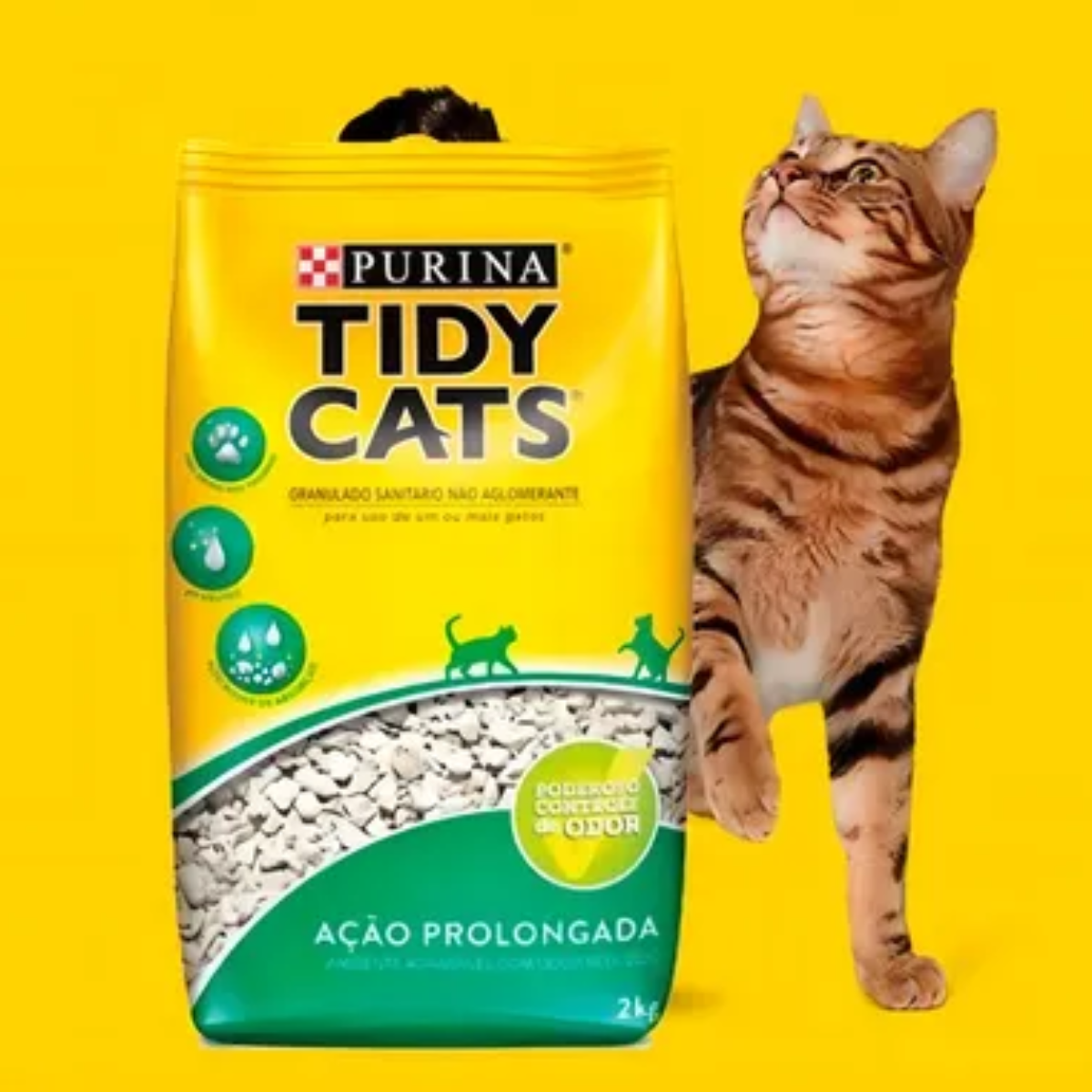 TIDY CATS AREIA HIGIÊNICA - 2kg